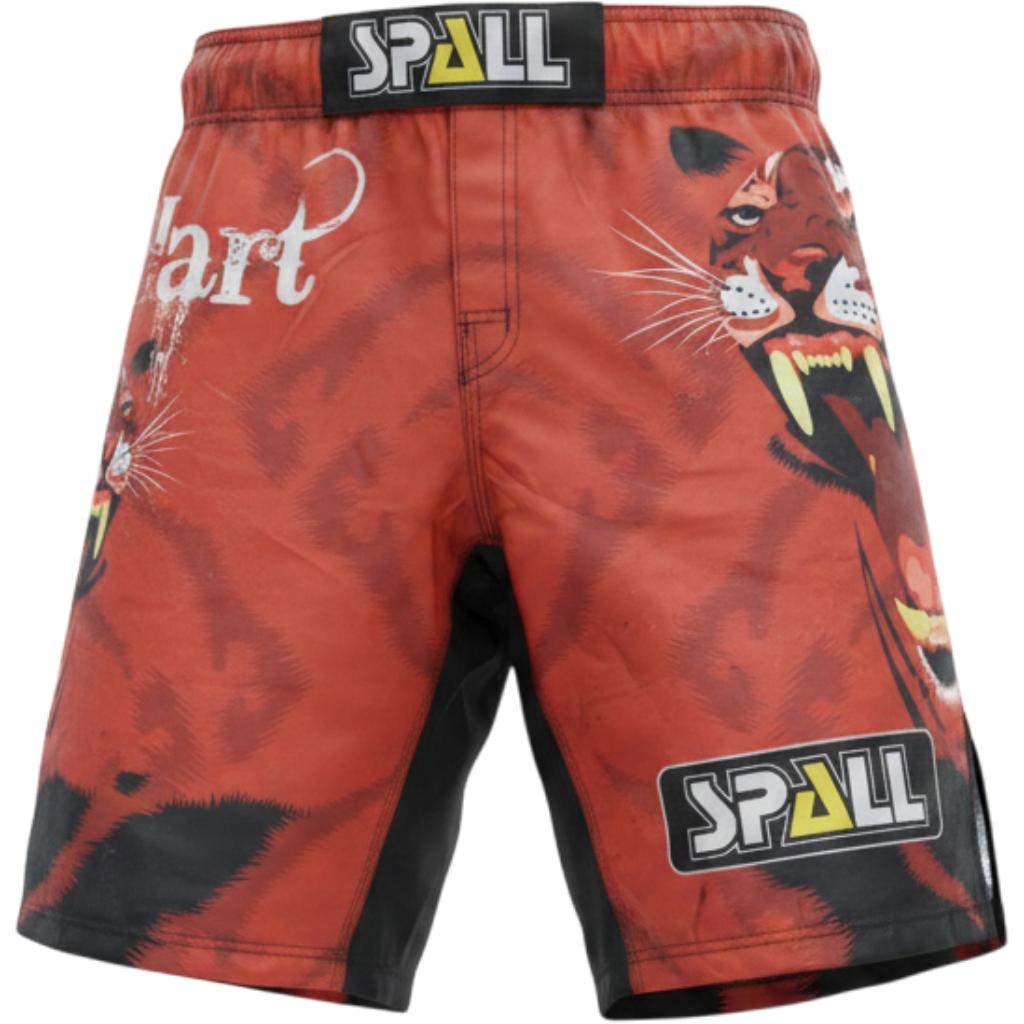 Boxing Muay Thai Shorts Fury For Men